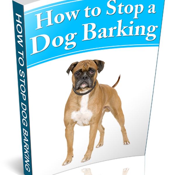 Ultimative Anleitung zum Stoppen von Hundebellen - Google Drive Zugriff