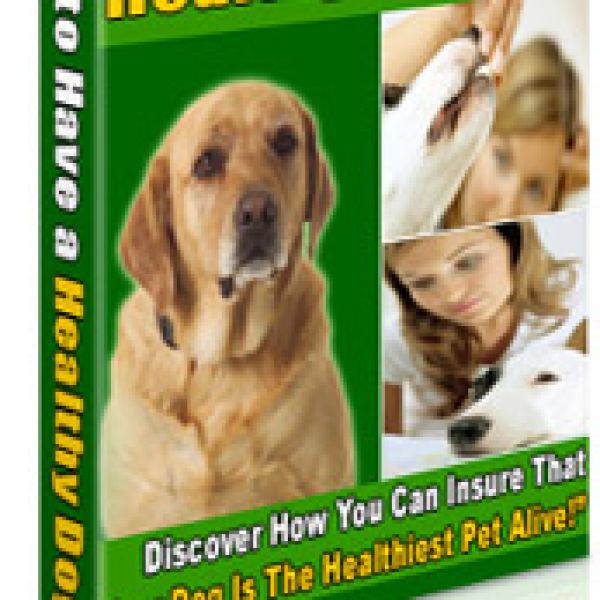 Wie man einen gesunden Hund hat - Umfassender Leitfaden Zugang