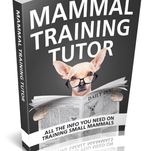 Säugetier Training Tutor - Umfassender Ressourcen Zugriff