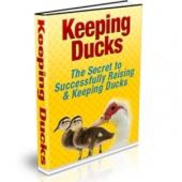 Zugriff auf den Ressourcenordner für die Entenhaltung