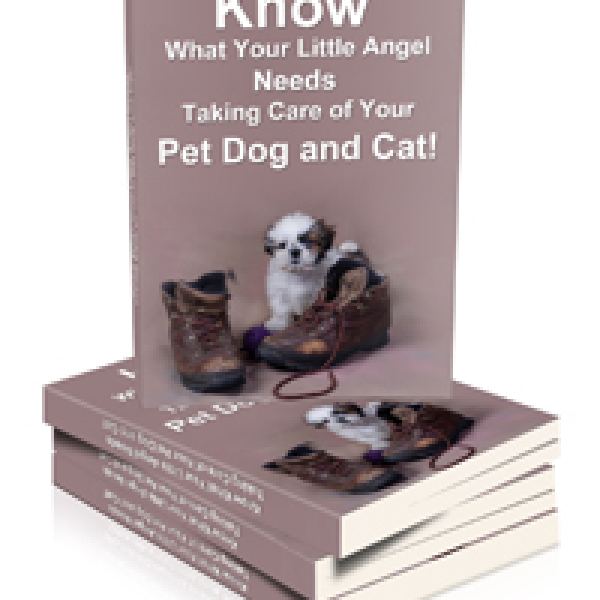 Wesentliche Anleitung zur Pflege Ihres Haustierhundes und -katze