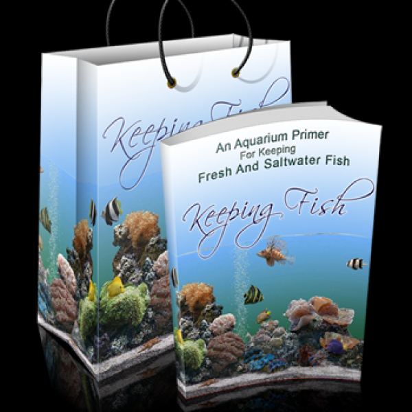 Fische Halten: Umfassender Digitaler Ressourcenordner