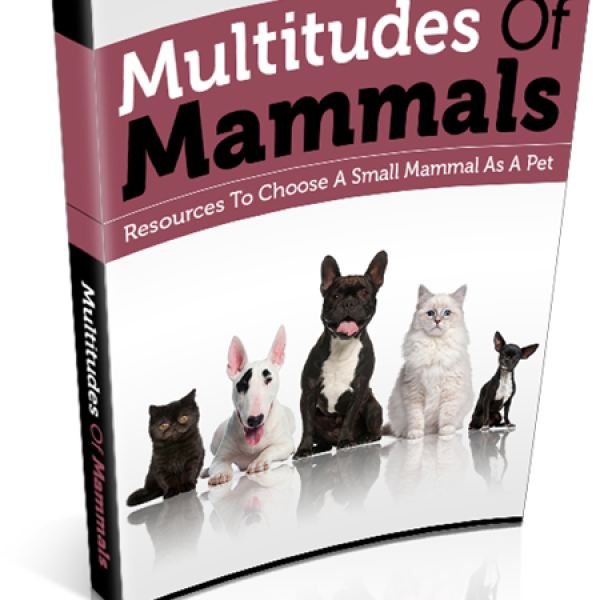 Mengen von Säugetieren - Umfassende digitale Ressource