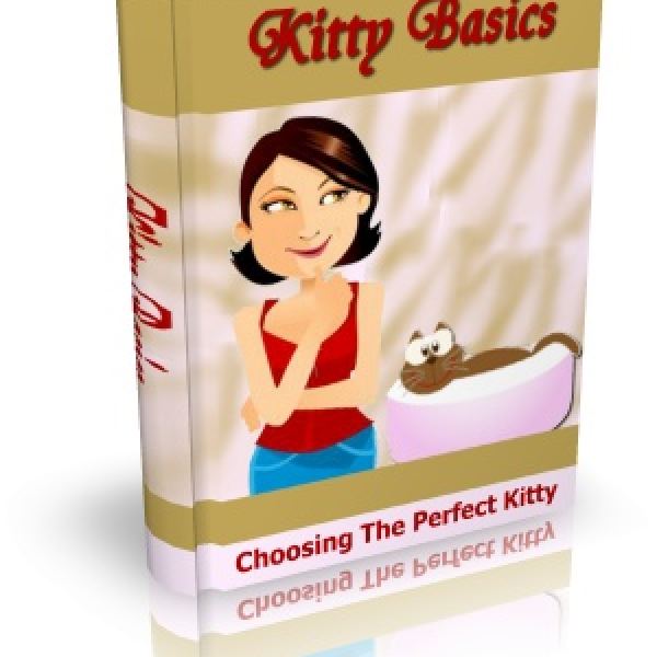 Kitty Basics: Comprehensive Digital Resource Package