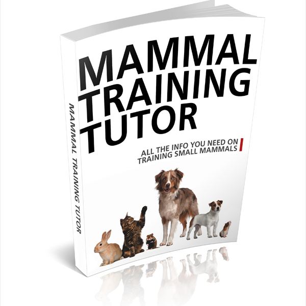 Säugetier Trainings Tutor Ausgabe 2 - Vollständiger digitaler Zugang