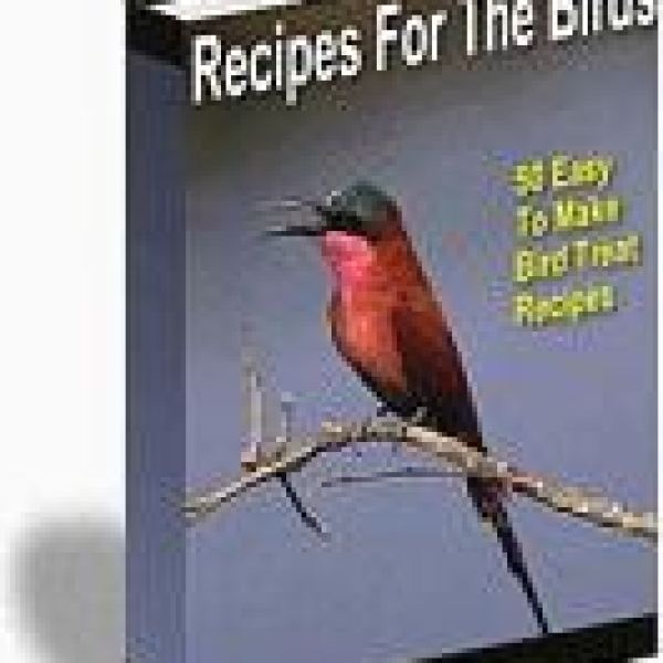 50 Einfache Rezepte für Vogelsnacks - Google Drive Zugriff