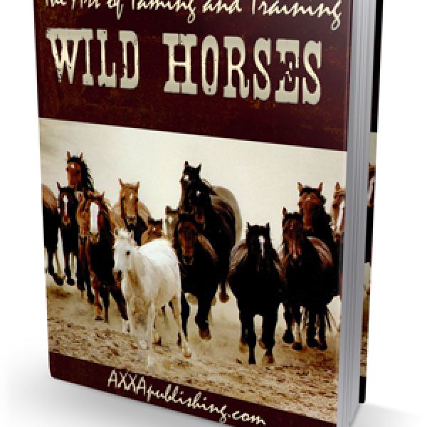 الوصول إلى فن ترويض وتدريب الخيول البرية - مجلد جوجل درايف