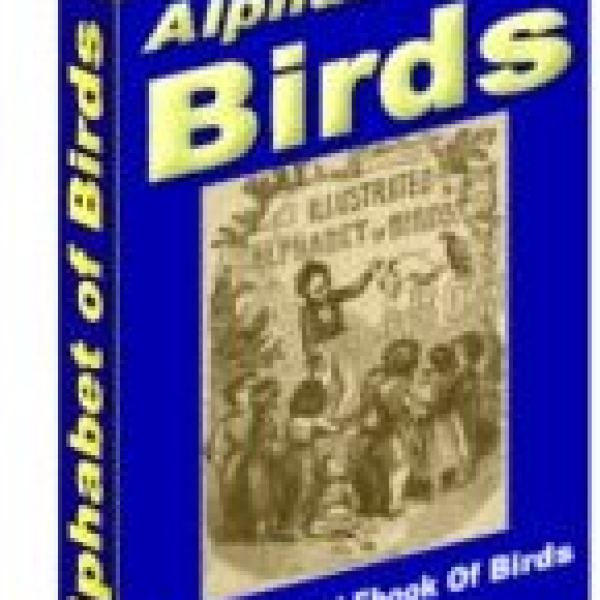 أبجدية الطيور - وصول رقمي حصري