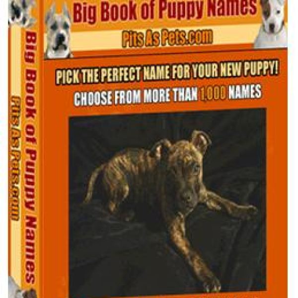 Das große Buch der Welpennamen - Google Drive Zugriff