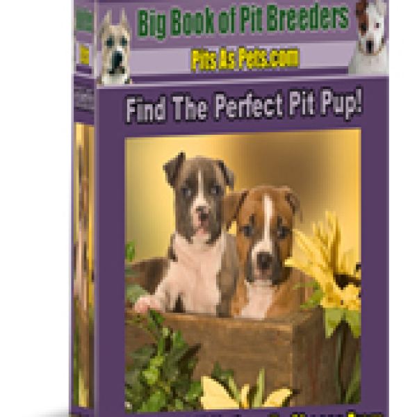 Das GROßE Buch der Pit Bull Züchter - Exklusiver Google Drive Zugang