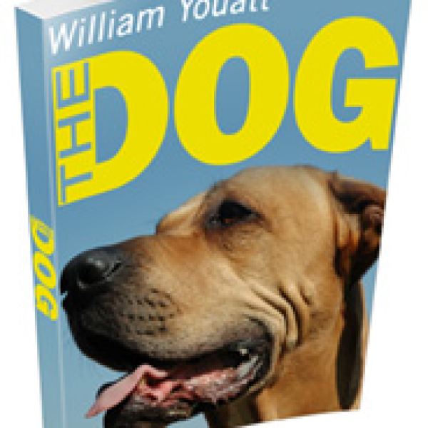 Der Hund - Exklusiver digitaler Ressourcenordner