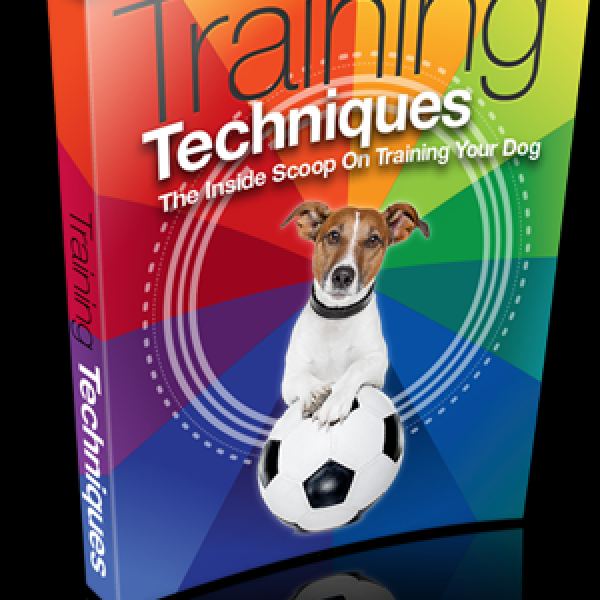 Zugang zum Google Drive-Ordner für Trainingstechniken