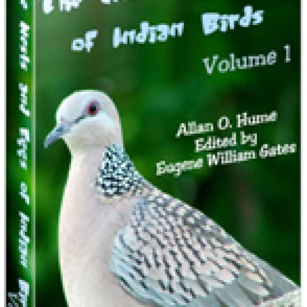 Zugang zu den Nestern und Eiern indischer Vögel Google Drive-Ordner