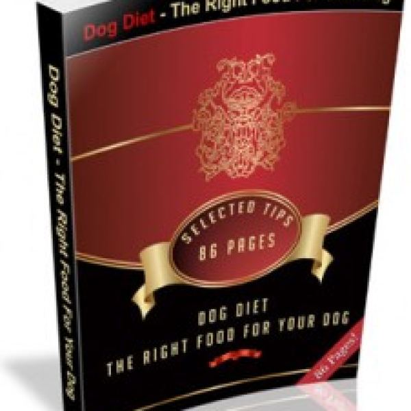 Das richtige Futter für Ihren Hund: Ausgewählte Tipps Zugriff