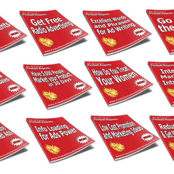 13 Mini Reports Sammlung - Umfassende Marketing Einblicke