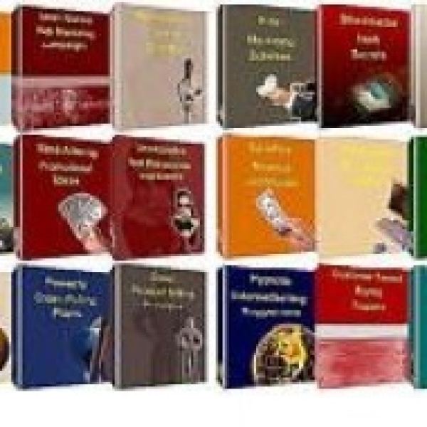 Große 30 Business Buch Sammlung - Digitaler Zugang