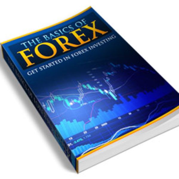Grundlagen des Forex - Umfassende Lernressource