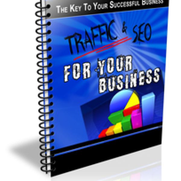 استراتيجيات المرور وتحسين محركات البحث لعملك - الوصول إلى Google Drive