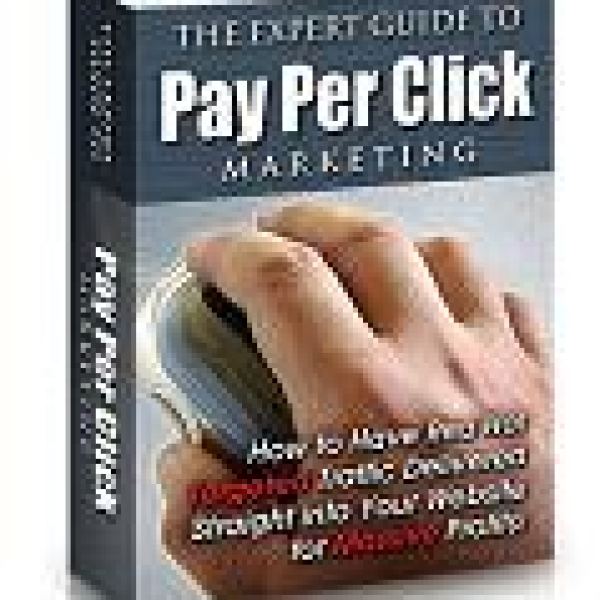 Der Expertenleitfaden für PPC-Marketing - Google Drive-Zugang