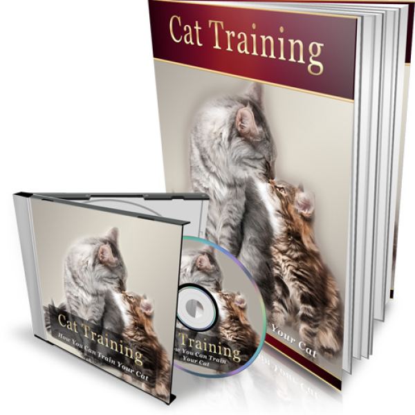 HEIM & FAMILIE Digitales Ressourcenpaket