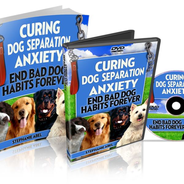 HOME & FAMILY Ressourcen-Hub: Expertenleitfäden und Audio-Tracks