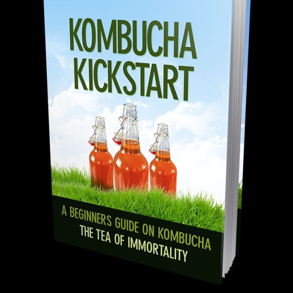 Kombucha Kickstart: Ihr vollständiges digitales Toolkit