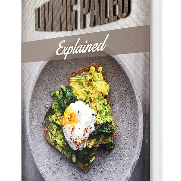 شرح نظام باليو: الوصول إلى مورد رقمي شامل