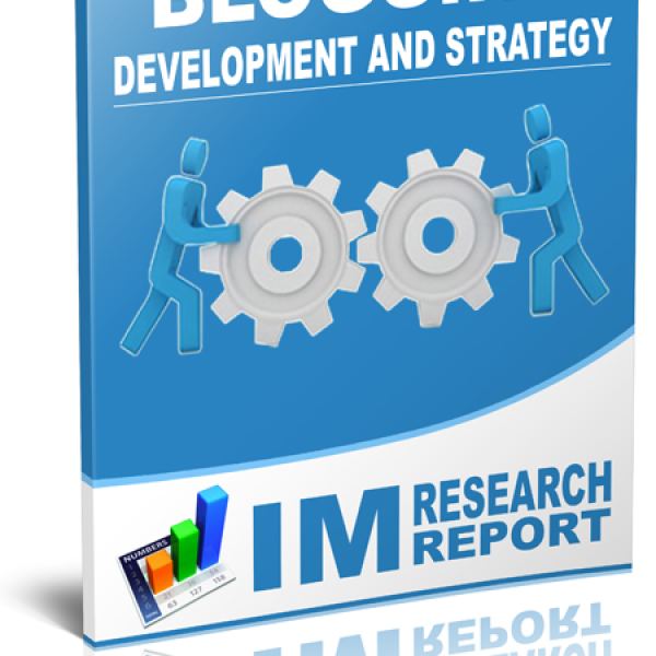 Blogging Development and Strategy Access