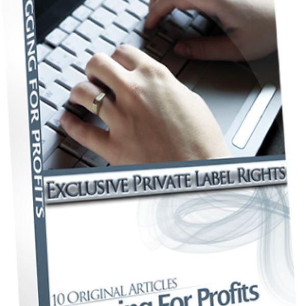 Blogging For Profits - Comprehensive Resource Folder