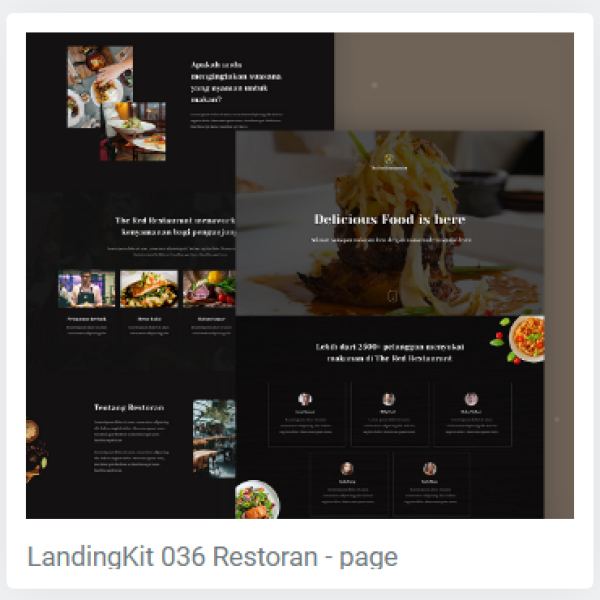 Ready-Made Landing Page Access - High-Converting Templates & Assets